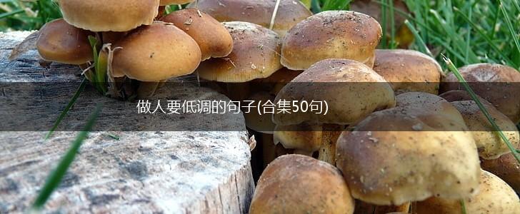 做人要低调的句子(合集50句),第1张