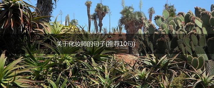 关于化妆师的句子(推荐10句),第1张