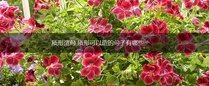 质形造句 质形可以造的句子有哪些,第1张