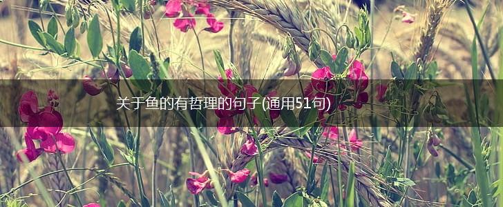 关于鱼的有哲理的句子(通用51句),第1张