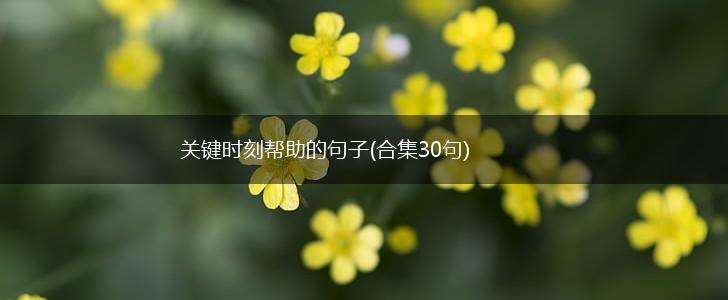 关键时刻帮助的句子(合集30句),第1张