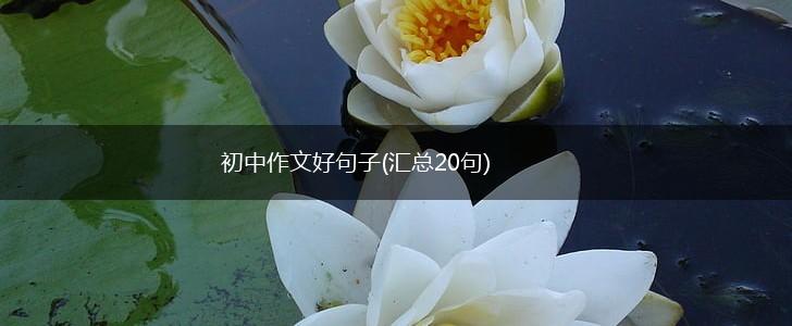 初中作文好句子(汇总20句),第1张