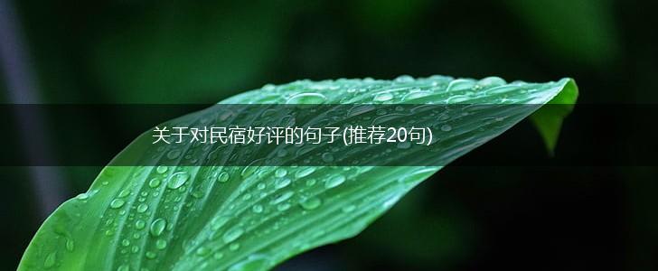 关于对民宿好评的句子(推荐20句),第1张
