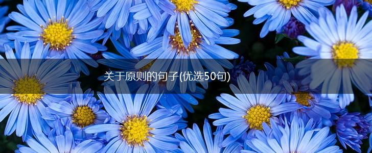 关于原则的句子(优选50句),第1张