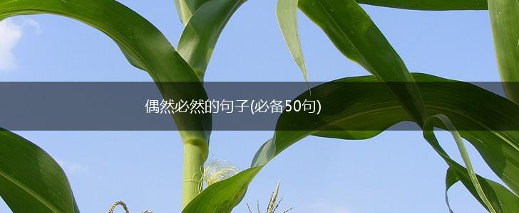 偶然必然的句子(必备50句),第1张