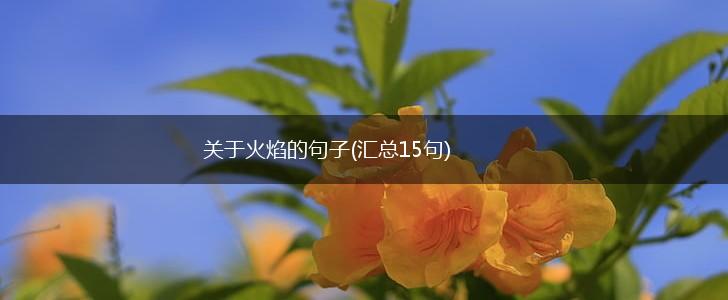 关于火焰的句子(汇总15句),第1张