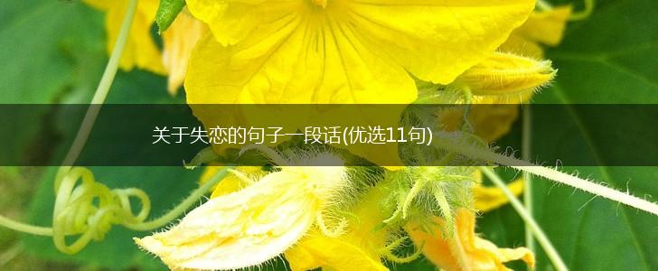 关于失恋的句子一段话(优选11句),第1张