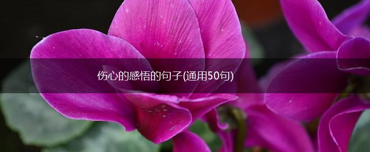 伤心的感悟的句子(通用50句),第1张