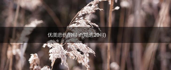 优美悲伤的句子(精选20句),第1张