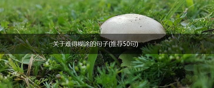 关于难得糊涂的句子(推荐50句),第1张