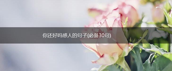 你还好吗感人的句子(必备30句),第1张