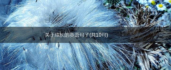 关于成长的英语句子(共10句),第1张