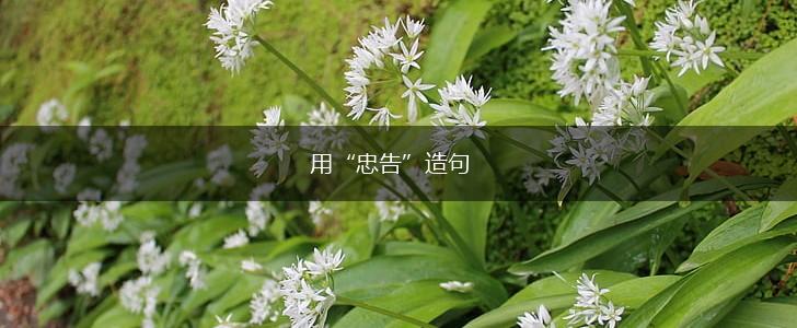 用“忠告”造句,第1张