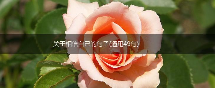 关于相信自己的句子(通用49句),第1张