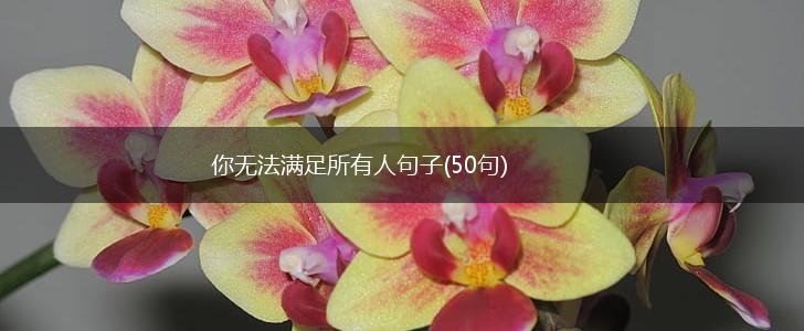 你无法满足所有人句子(50句),第1张