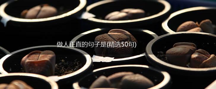 做人正直的句子是(精选50句),第1张