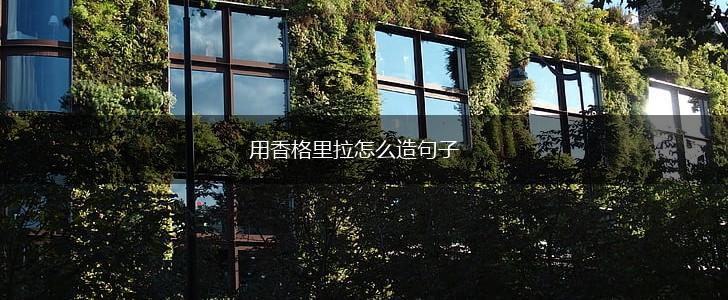 用香格里拉怎么造句子,第1张