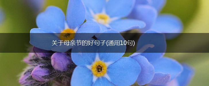 关于母亲节的好句子(通用10句),第1张