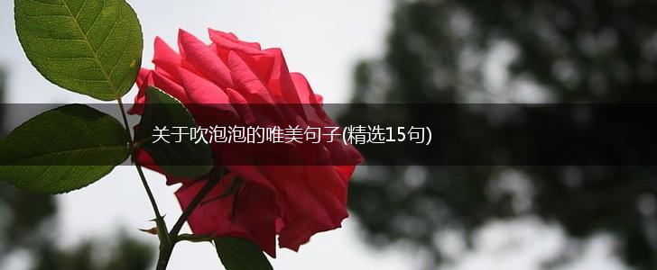 关于吹泡泡的唯美句子(精选15句),第1张