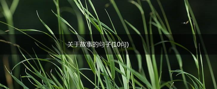 关于故事的句子(10句),第1张