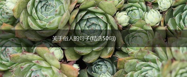 关于俗人的句子(精选50句),第1张