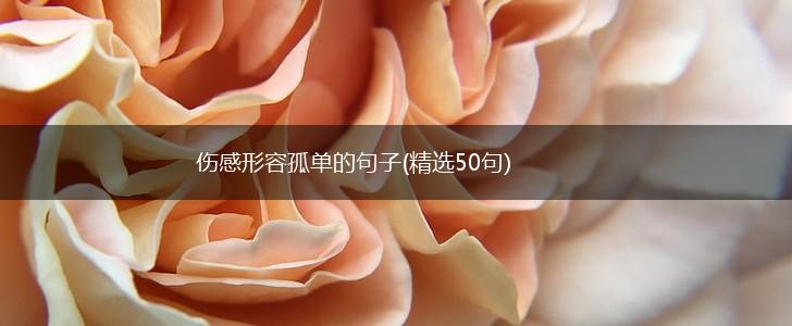 伤感形容孤单的句子(精选50句),第1张