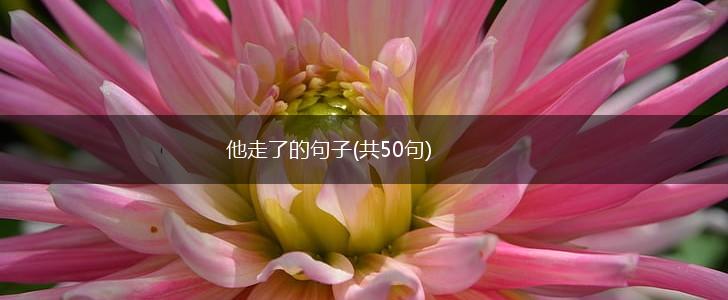 他走了的句子(共50句),第1张
