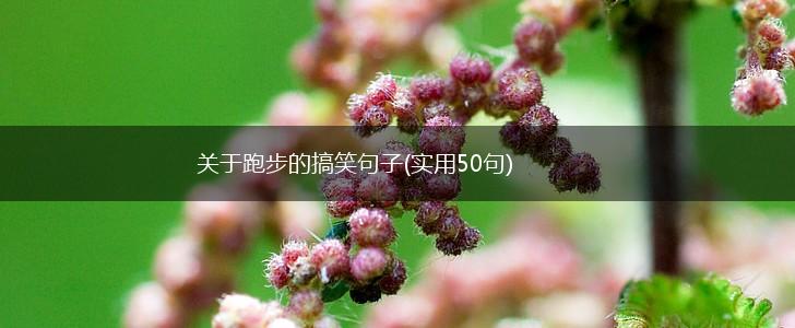 关于跑步的搞笑句子(实用50句),第1张
