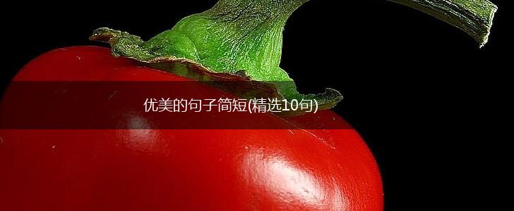 优美的句子简短(精选10句),第1张