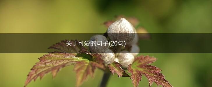 关于可爱的句子(20句),第1张
