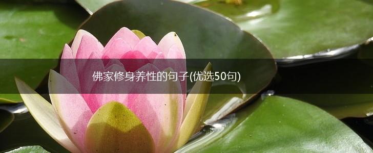 佛家修身养性的句子(优选50句),第1张