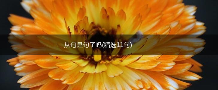 从句是句子吗(精选11句),第1张