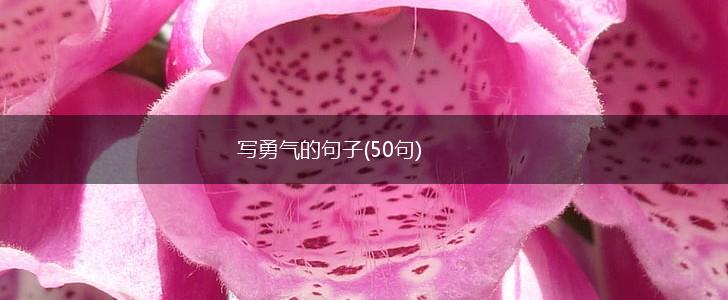 写勇气的句子(50句),第1张
