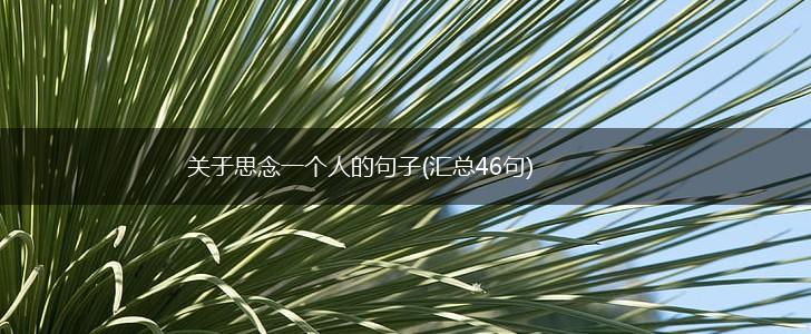 关于思念一个人的句子(汇总46句),第1张