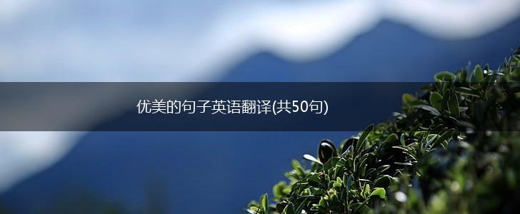 优美的句子英语翻译(共50句),第1张