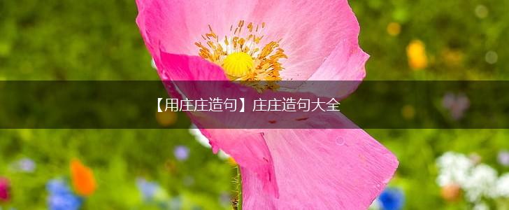 【用庄庄造句】庄庄造句大全,第1张