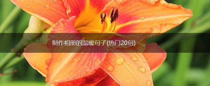 制作相册的温暖句子(热门20句),第1张