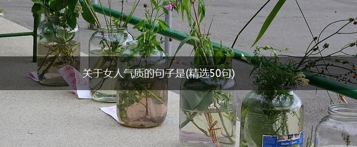 关于女人气质的句子是(精选50句),第1张