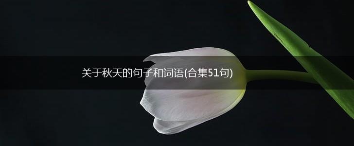 关于秋天的句子和词语(合集51句),第1张