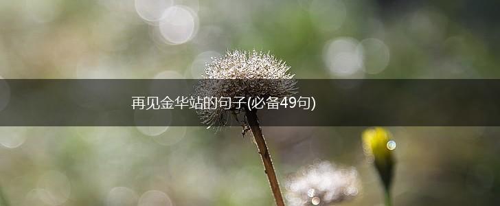 再见金华站的句子(必备49句),第1张