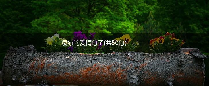 凄凉的爱情句子(共50句),第1张