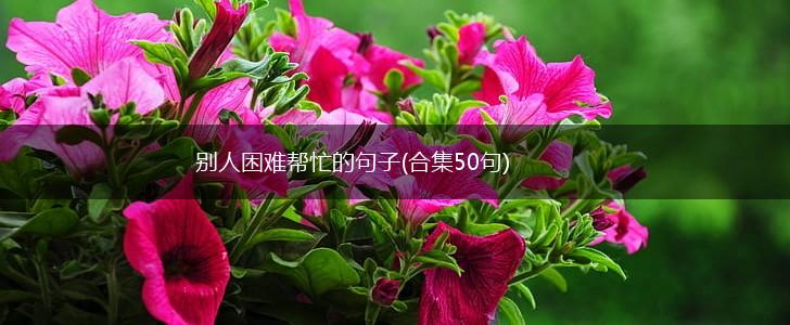 别人困难帮忙的句子(合集50句),第1张