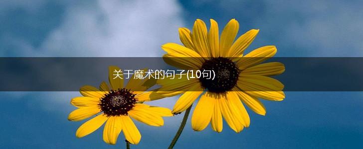 关于魔术的句子(10句),第1张