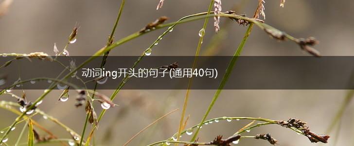 动词ing开头的句子(通用40句),第1张