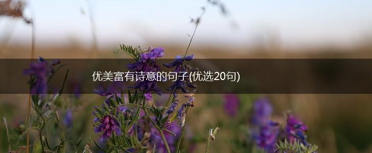 优美富有诗意的句子(优选20句),第1张
