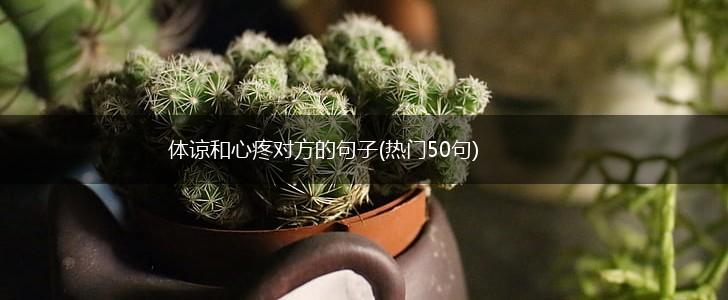 体谅和心疼对方的句子(热门50句),第1张