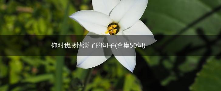 你对我感情淡了的句子(合集50句),第1张