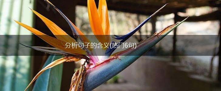 分析句子的含义(热门6句),第1张