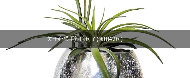 关于心狠手辣的句子(通用49句),第1张
