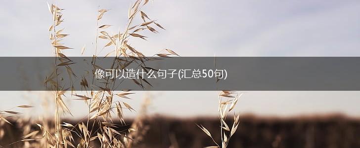 像可以造什么句子(汇总50句),第1张